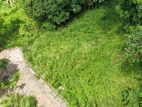 Near University of Peradeniya Land