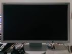 NEC IPS LCD Monitor