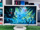 NEC MultiSync EA223WM 22