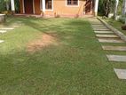 Need Villa to Rent Padukka