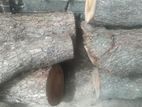 Neem Wood