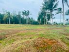 නේවාසික බිම් කොටස් අලුත්ගමින්