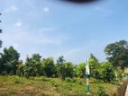 නේවාසික බිම් කොටස් කලුතරින්