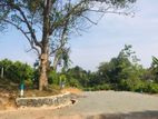 නේවාසික බිම් කොටස් කලුතරින්