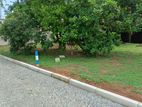 නේවාසික බිම් කොටස් විකිණීම නවල