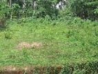 නේවාසික ඉඩමක් විකිනීමට - කිරිබත්ගොඩ