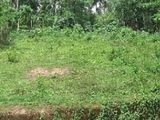 නේවාසික ඉඩමක් විකිනීමට - කිරිබත්ගොඩ
