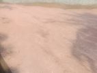 Negambo Kurana Land for Sale