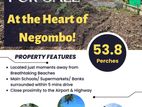 Negambo Road 53.8 Perches Land for Sale..