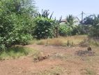 Negombo : 140 Perches Land for Sale