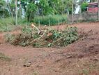 Negombo : 15 Perches Land for Sale at Kandana