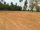 Negombo : 4 Acres Land for Sale