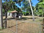 Negombo 50 P Land for Sale