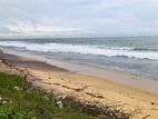 Negombo : 900P Land for Sale at Pamunugama beach side Lagoon front