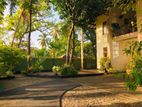 Negombo Commercial Property for Sale