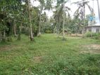 Negombo Katana Kimbulapitiya wide road land for sale close to Airport