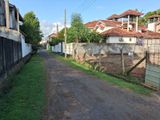 Negombo Kattuwa 11.5 P Land for Sale