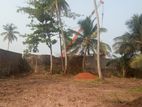 Negombo Kurana Land for Sale