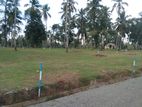 Negombo Land