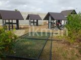Negombo Logon front facing 70 Perch Land for sale