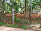 Negombo Main Road Land – Kandana Batagama