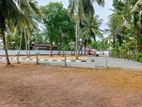 Negombo Road ආසන්නයෙන් 7.3p ඉඩමක් විකිණීමට ඇත | High Value Investment