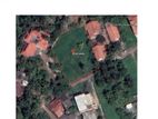 Negombo Road Prime Land 53.8 Perches for Sale.....