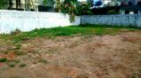 Negombo Town Land for Sale