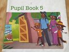 Nelson English Pupil book 5