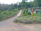 Nelundeniya Land for Sale