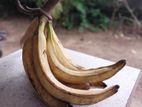 Nethrapalam Banana