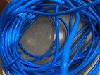 Network Cable