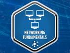 Networking Course – Online