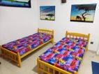 New 6*3 Ft single Bed with DL Mattresses