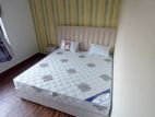 New 72"*60" Queen Size Cushion Divan Bed And Spring Mattresses .