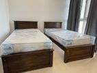 New 72x36 Teak Box Bed With Arpico Spring Mettress 8 Inches (Kk10)