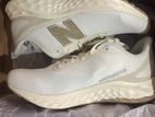 New Balance Fresh Foam Arishi V4 Shoes