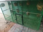 New Birds Cage