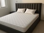New Cushion Divan Bed And Spring Mattresses .72"*60".