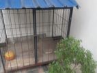Dog Cage