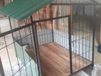New Dog Cage Making