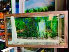 New Fish Tank