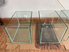 Fish Tanks