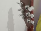 New Guitar