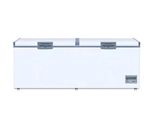 New Havells 650L Chest Freezer Double Door