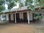 New House with 2 Acres Tea land for rent in Galle