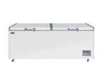 New IGNIS 800L Chest Deep Freezer with Handle