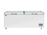 New IGNIS 800L Chest Deep Freezer with Handle