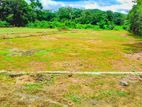 new land for sale in kosgama