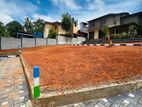 New Land for Sale on Piliyandala Y31